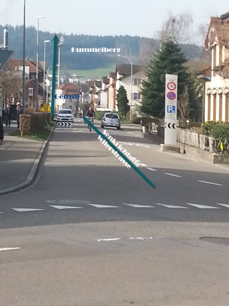 Wilerstrasse