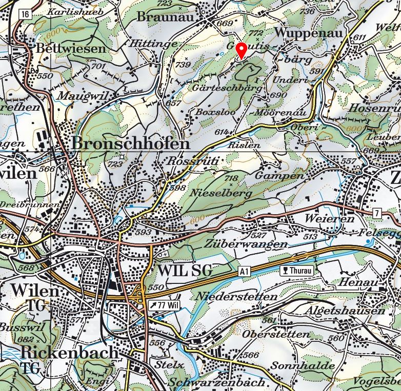 Wilerholz